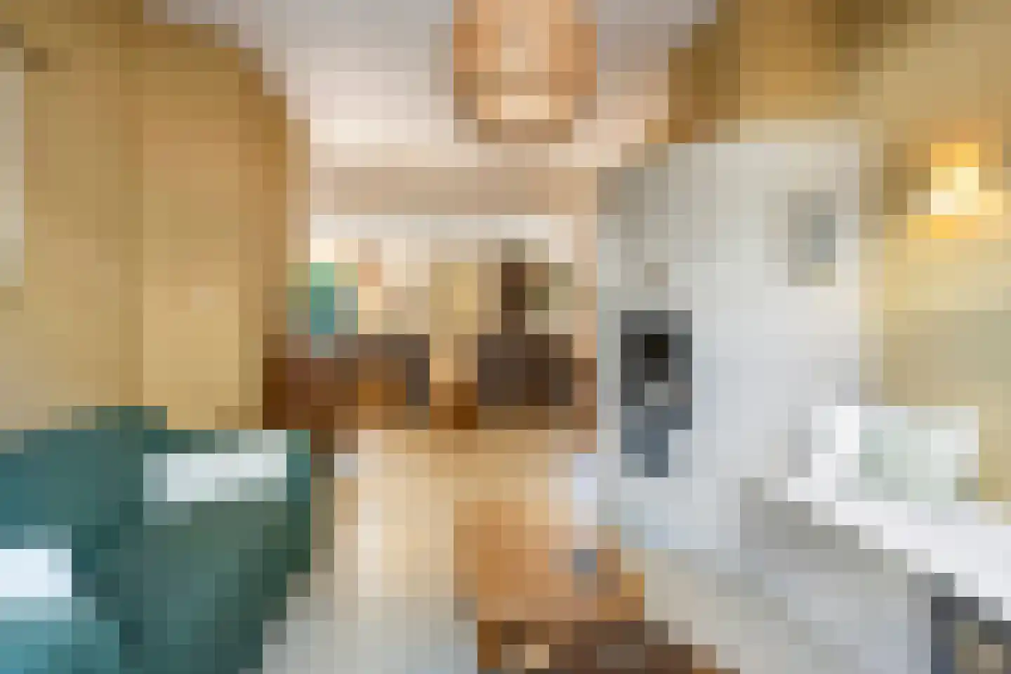 Marten Putstraat 6 Brummen thumbnail 12