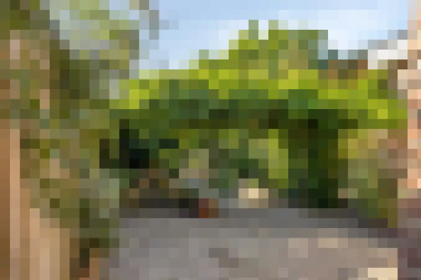 Marten Putstraat 6 Brummen thumbnail 17