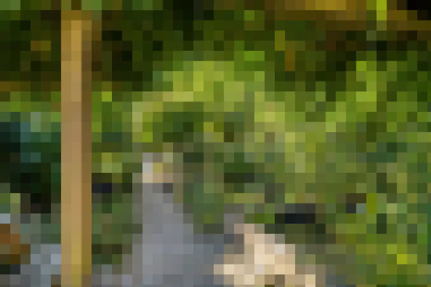 Marten Putstraat 6 Brummen thumbnail 34