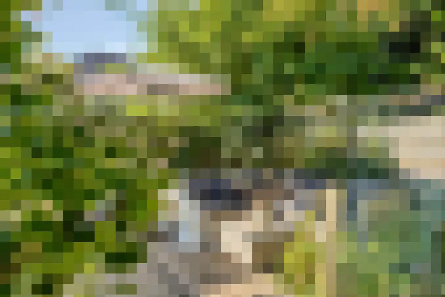 Marten Putstraat 6 Brummen thumbnail 35