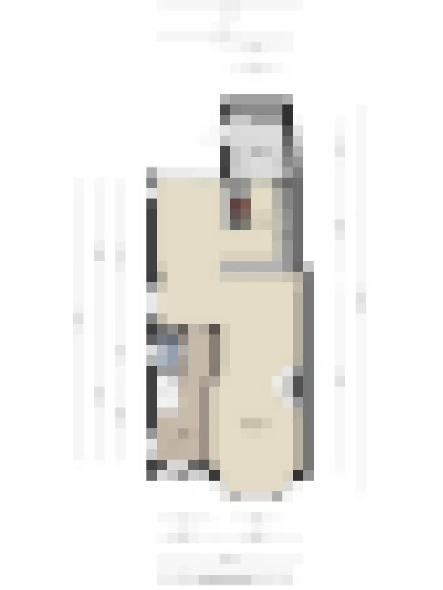 Marten Putstraat 6 Brummen thumbnail 42