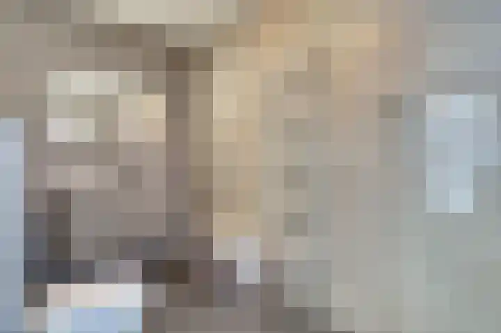 Marten Snoodijkhof 10 Hippolytushoef thumbnail 11