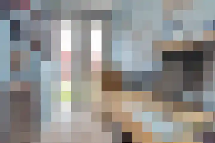 Marten Snoodijkhof 10 Hippolytushoef thumbnail 13