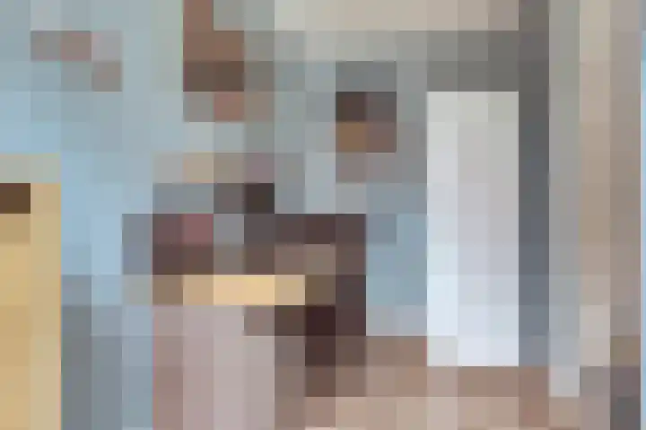 Marten Snoodijkhof 10 Hippolytushoef thumbnail 14