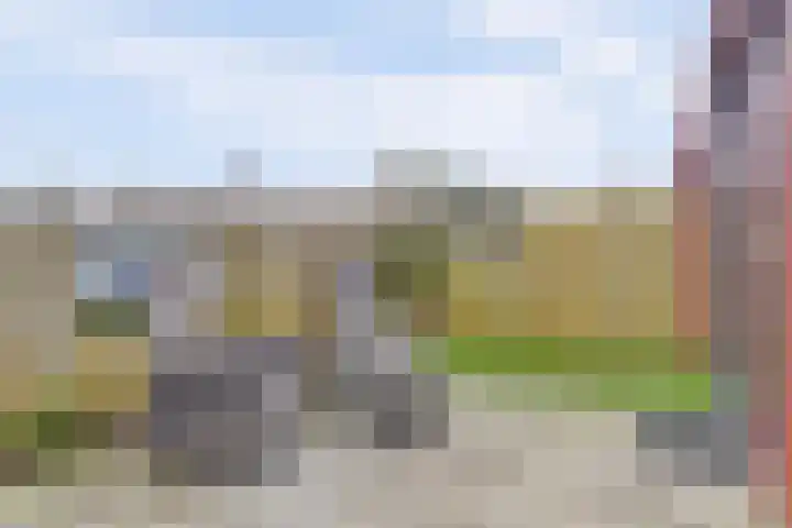 Marten Snoodijkhof 10 Hippolytushoef thumbnail 22
