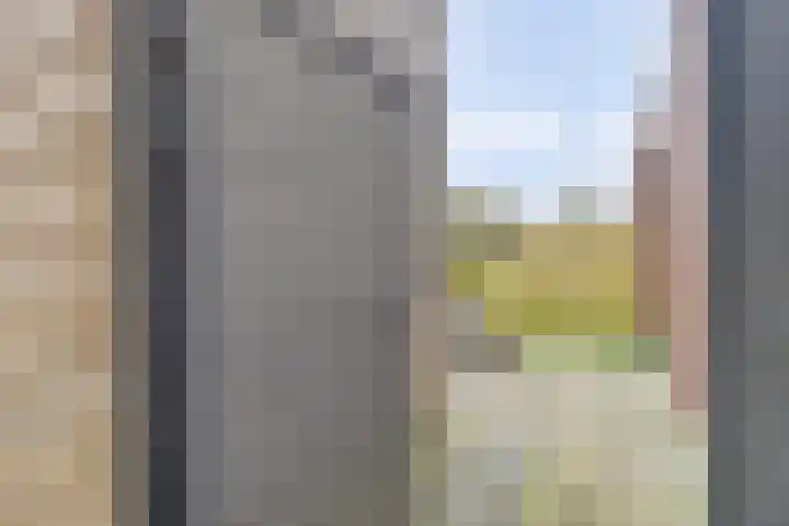 Marten Snoodijkhof 10 Hippolytushoef thumbnail 23