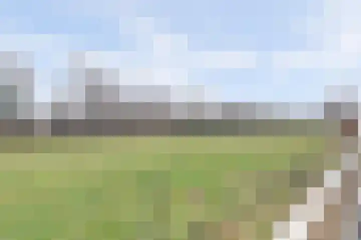 Marten Snoodijkhof 10 Hippolytushoef thumbnail 26