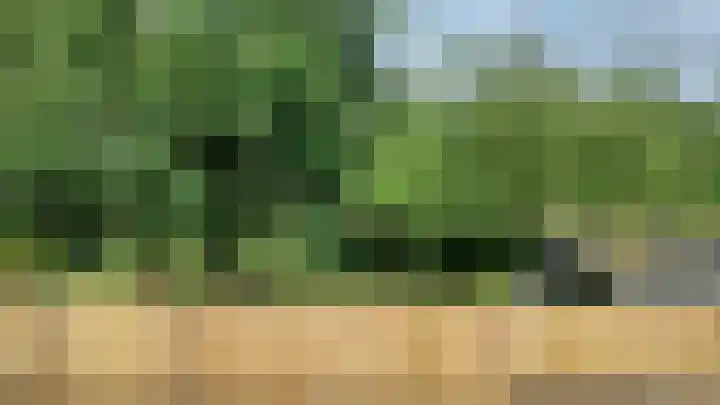 Marten Snoodijkhof 10 Hippolytushoef thumbnail 27