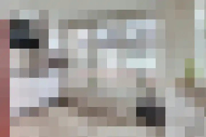 Marten Snoodijkhof 10 Hippolytushoef thumbnail 6