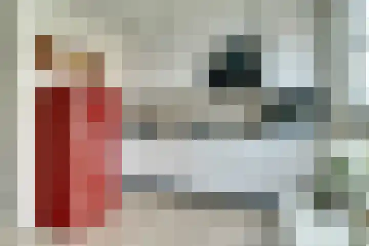 Marten Snoodijkhof 10 Hippolytushoef thumbnail 7
