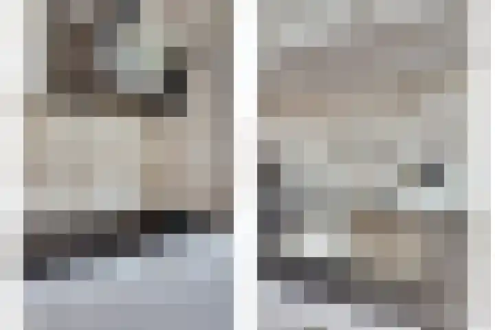 Marten Snoodijkhof 10 Hippolytushoef thumbnail 8