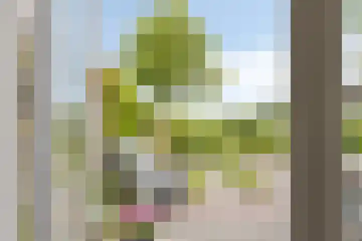 Marten Toonderlaan 13 Kloetinge thumbnail 10