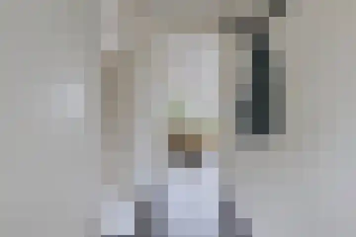 Marten Toonderlaan 13 Kloetinge thumbnail 14