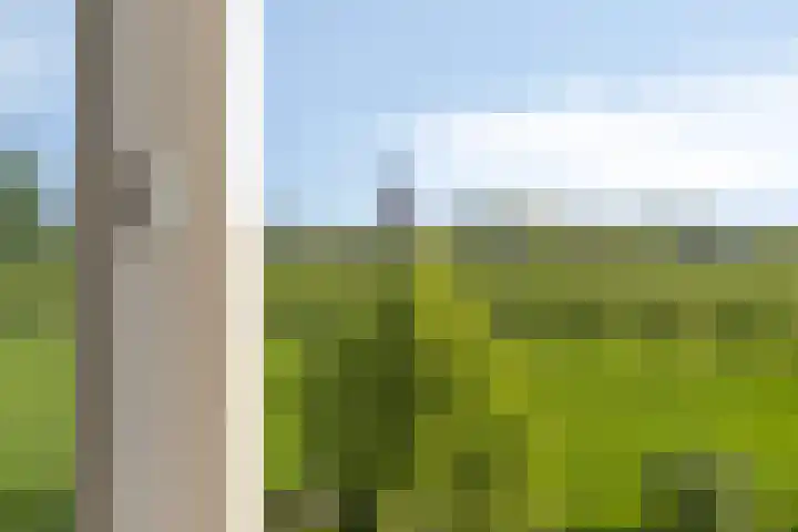 Marten Toonderlaan 13 Kloetinge thumbnail 20