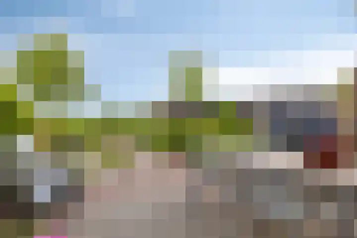 Marten Toonderlaan 13 Kloetinge foto 3