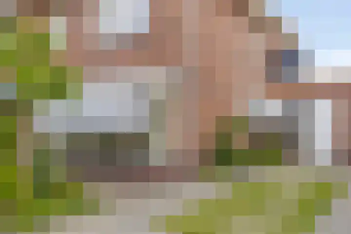 Marten Toonderlaan 13 Kloetinge thumbnail 30