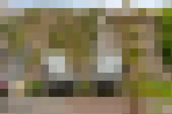 Marten Toonderlaan 13 Kloetinge thumbnail 34