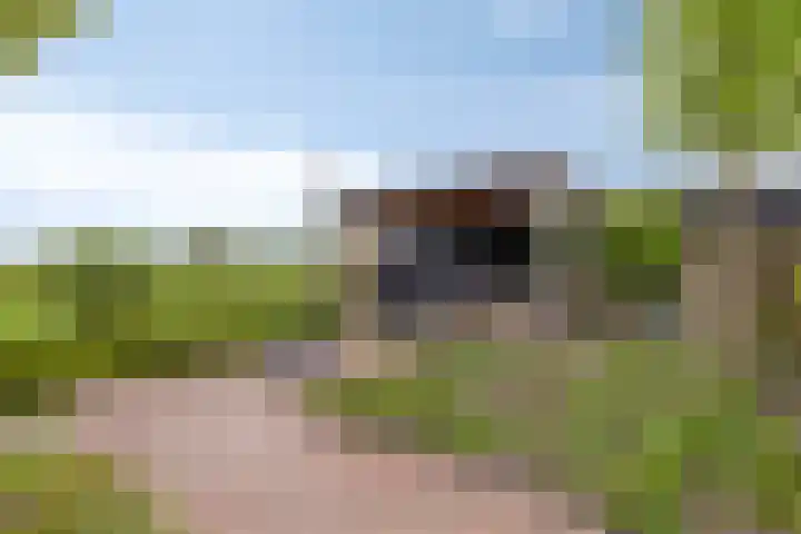 Marten Toonderlaan 13 Kloetinge thumbnail 35