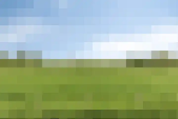 Marten Toonderlaan 13 Kloetinge thumbnail 36