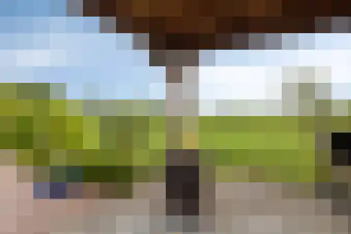 Marten Toonderlaan 13 Kloetinge thumbnail 4