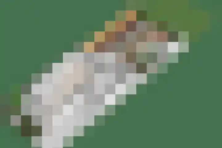 Marten Toonderlaan 13 Kloetinge thumbnail 46