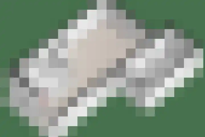 Marten Toonderlaan 13 Kloetinge thumbnail 47