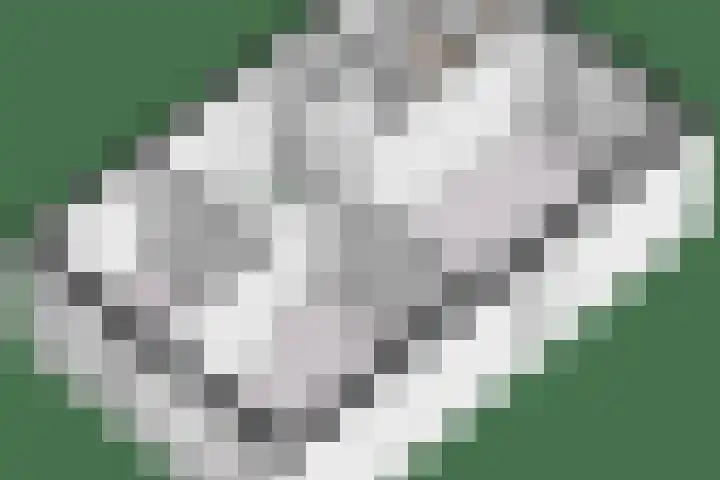 Marten Toonderlaan 13 Kloetinge thumbnail 48