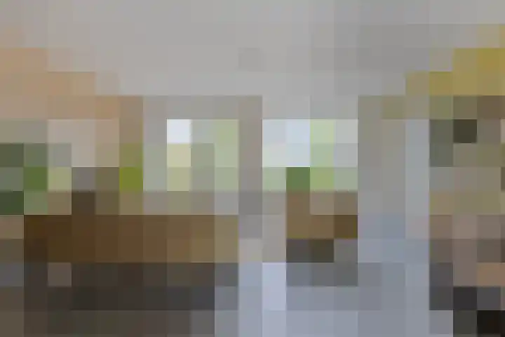 Marten Toonderlaan 13 Kloetinge thumbnail 8