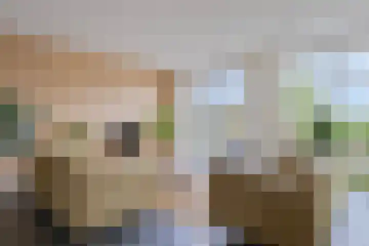 Marten Toonderlaan 13 Kloetinge thumbnail 9