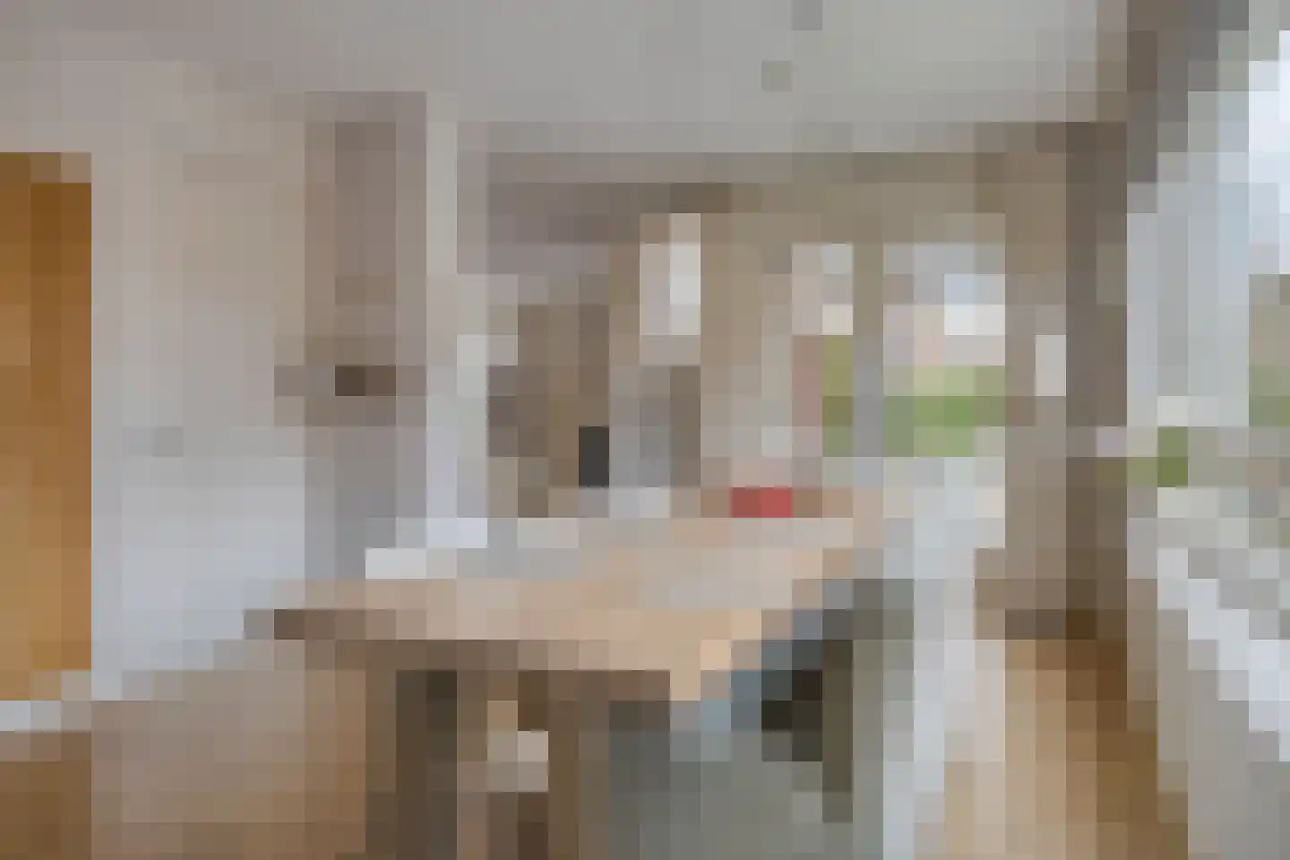 Marten Toonderlaan 2 Kloetinge thumbnail 12