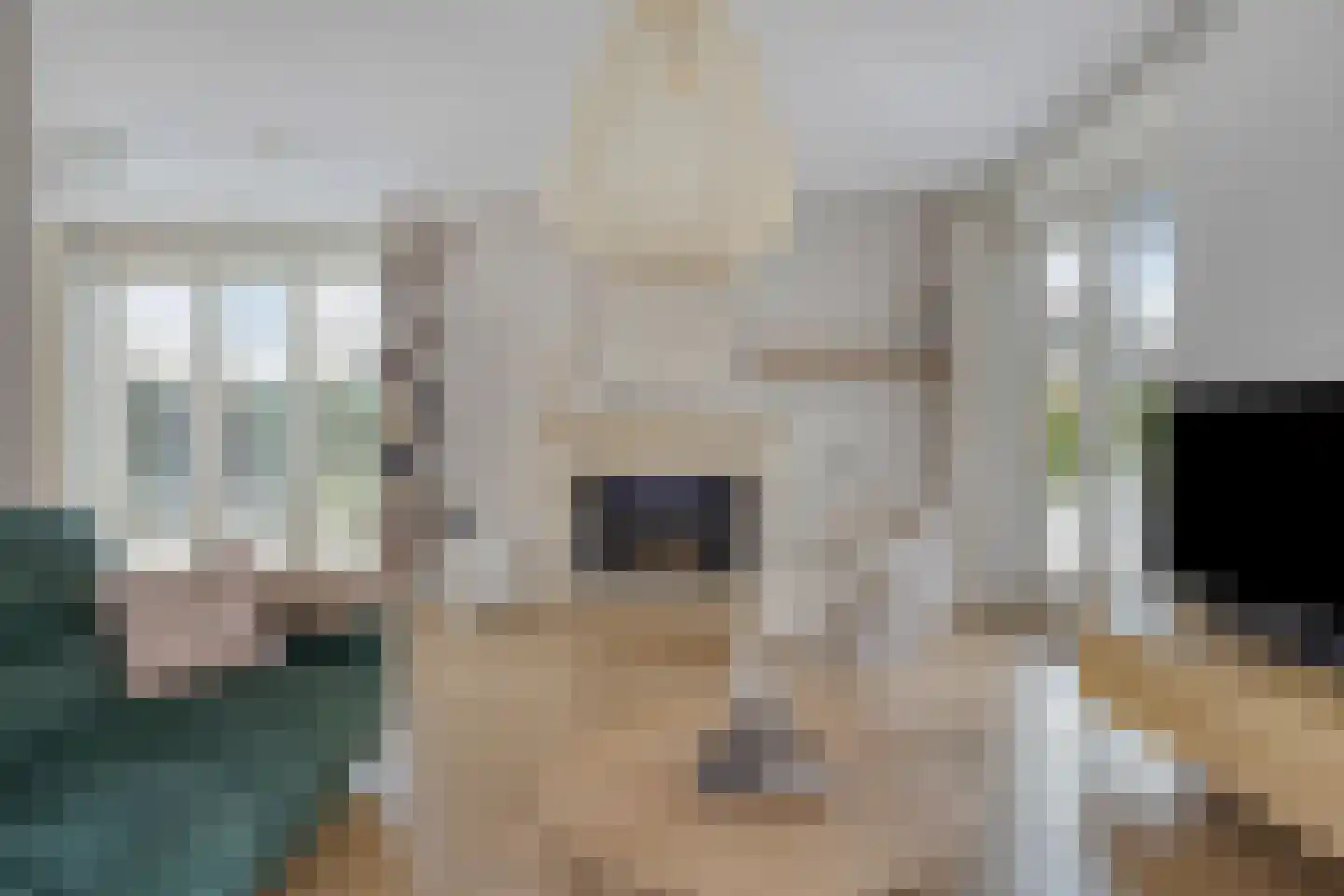 Marten Toonderlaan 2 Kloetinge thumbnail 6