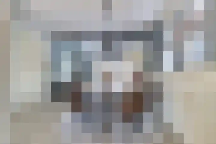 Marten Toonderlaan 23 Kloetinge thumbnail 12