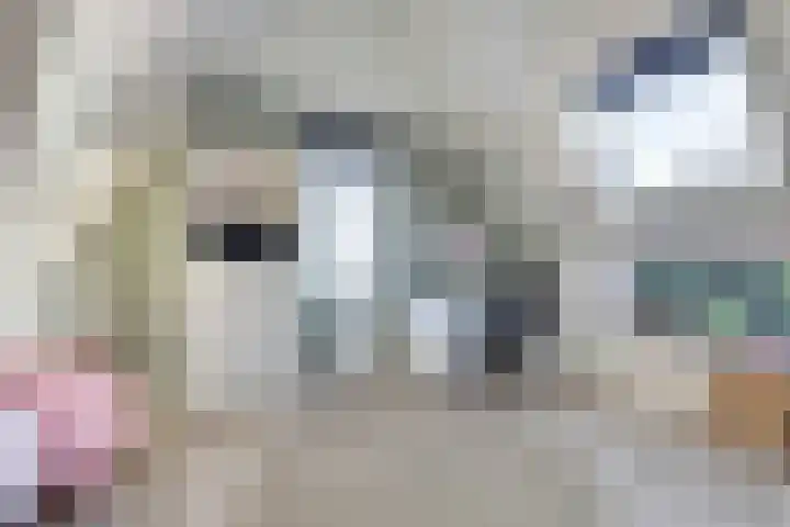 Marten Toonderlaan 23 Kloetinge thumbnail 27