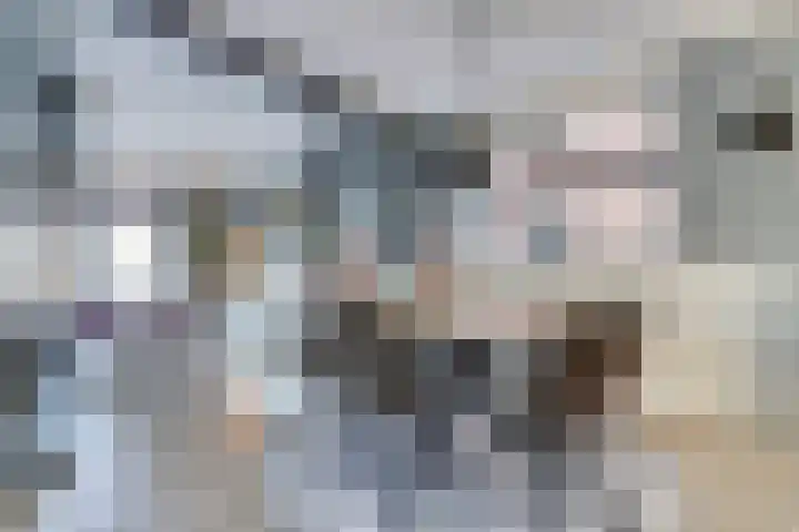 Marten Toonderlaan 23 Kloetinge thumbnail 5