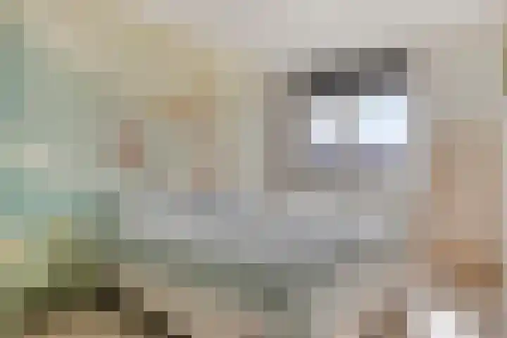 Marten Toonderlaan 48 Kloetinge thumbnail 12