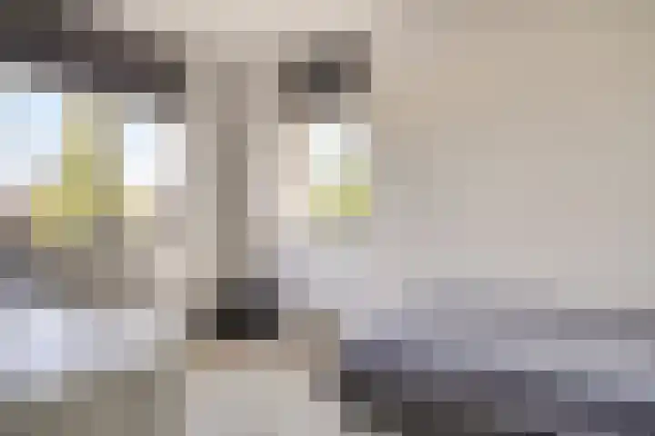 Marten Toonderlaan 48 Kloetinge thumbnail 14