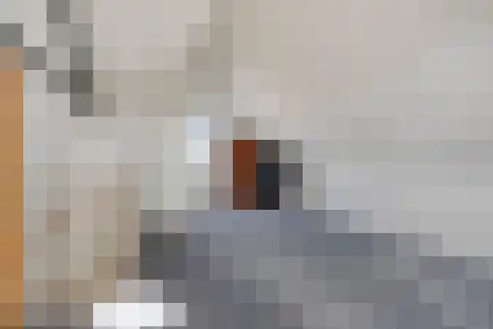 Marten Toonderlaan 48 Kloetinge thumbnail 18
