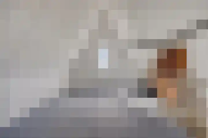 Marten Toonderlaan 48 Kloetinge thumbnail 19