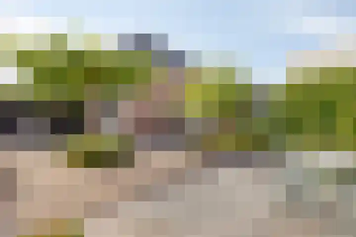 Marten Toonderlaan 48 Kloetinge thumbnail 21