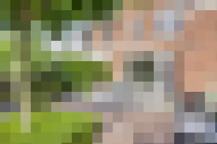 Marten Toonderlaan 48 Kloetinge thumbnail 23