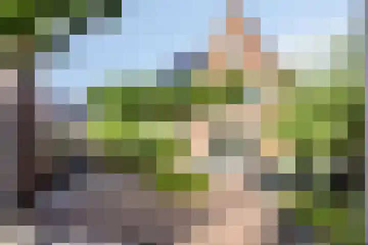 Marten Toonderlaan 48 Kloetinge thumbnail 24