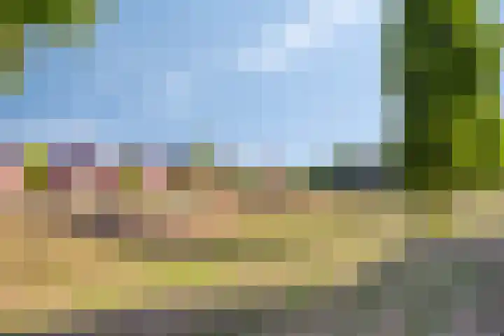 Marten Toonderlaan 48 Kloetinge thumbnail 25