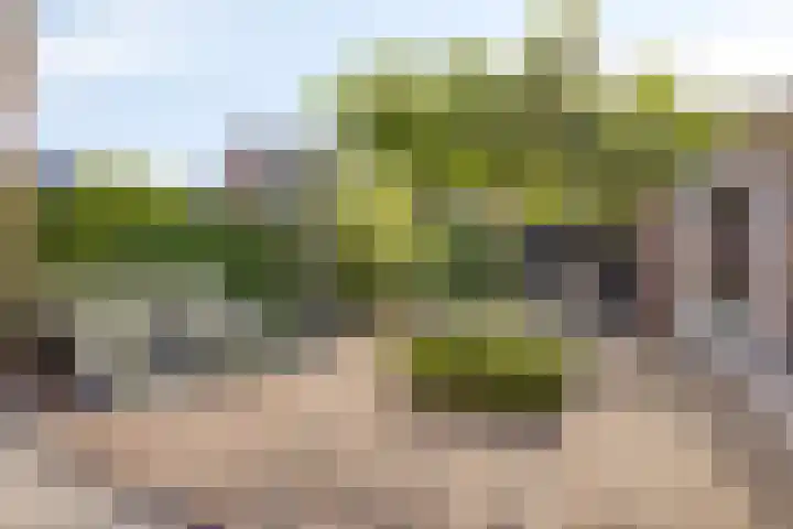 Marten Toonderlaan 48 Kloetinge thumbnail 4