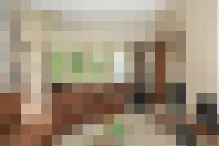 Marten van Rossemsingel 98 Zaltbommel thumbnail 12