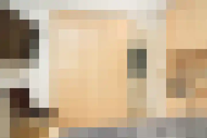 Marten van Rossemsingel 98 Zaltbommel thumbnail 17