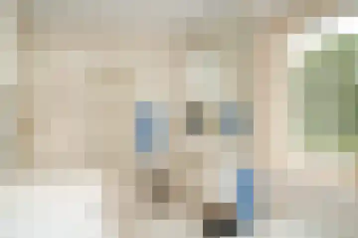 Marten van Rossemsingel 98 Zaltbommel thumbnail 19