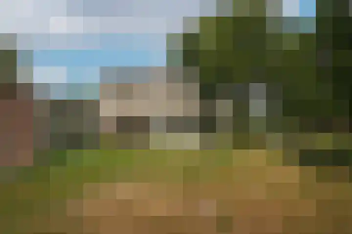 Marten van Rossemsingel 98 Zaltbommel thumbnail 21