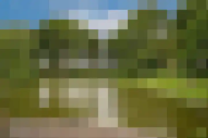 Marten van Rossemsingel 98 Zaltbommel thumbnail 22