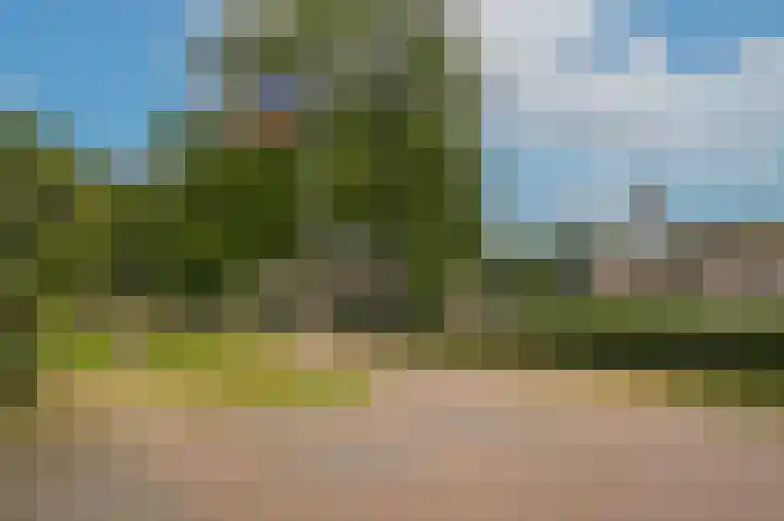 Marten van Rossemsingel 98 Zaltbommel thumbnail 28