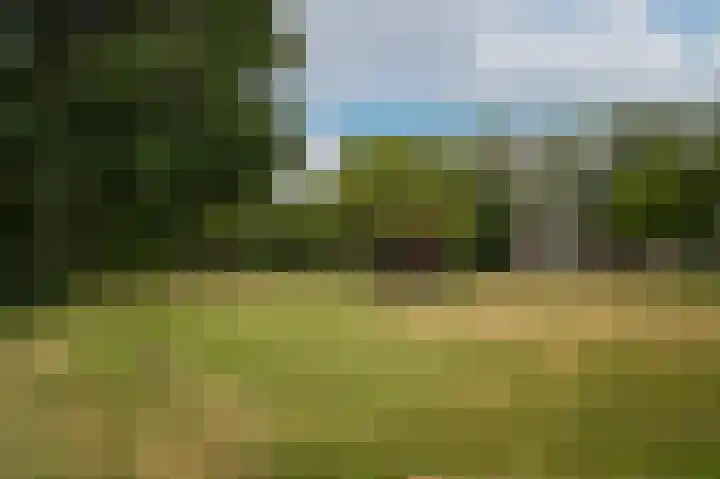 Marten van Rossemsingel 98 Zaltbommel thumbnail 30